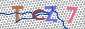 Obrazek CAPTCHA