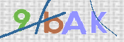 Obrazek CAPTCHA