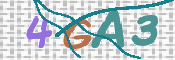 Obrazek CAPTCHA